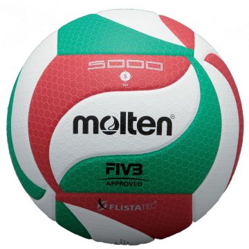 Molten Volleybal V5M5000