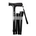 Opvouwbare Wandelstok Zwart