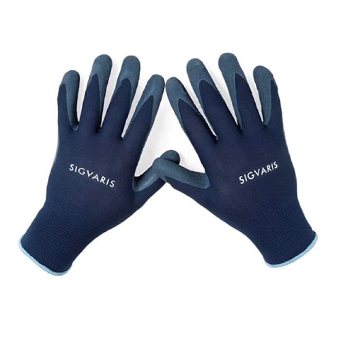 Proflebo Aantrekhandschoenen