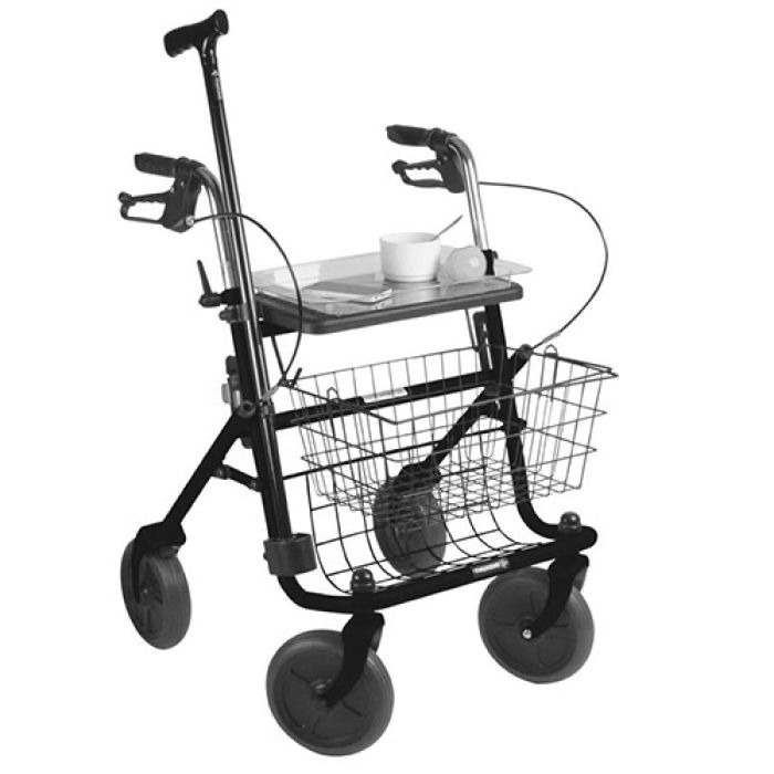 Losse Onderdelen voor Thuasne Rollator Quatro