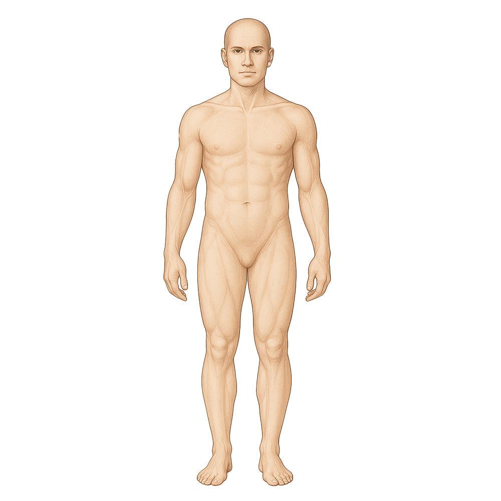 Klik op een lichaamsdeel